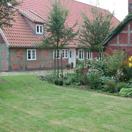 Ferienwohnung Am Elbdeich Bleckede Exteriér fotografie