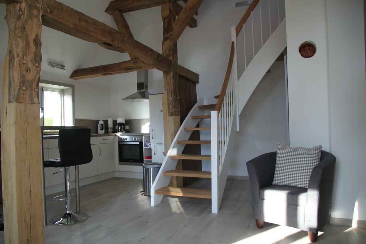 Ferienwohnung Am Elbdeich Bleckede Exteriér fotografie